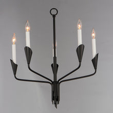 Load image into Gallery viewer, Calyx Chandelier in Detail.