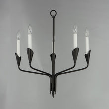 Load image into Gallery viewer, Calyx Chandelier in Detail.
