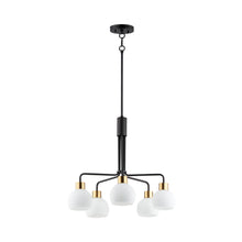 Load image into Gallery viewer, Coraline Chandelier in Bronze/Satin Brass (5-Light).