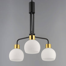 Load image into Gallery viewer, Coraline Chandelier in Detail.