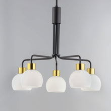 Load image into Gallery viewer, Coraline Chandelier in Detail.