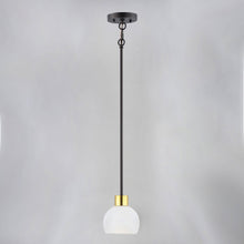 Load image into Gallery viewer, Coraline Mini Pendant Light in Detail.