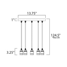 Load image into Gallery viewer, Early Electric Multi Light Pendant Light - line drawing.