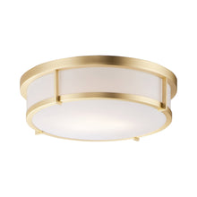 Load image into Gallery viewer, Rogue Flush Mount Ceiling Light in Satin Brass (3-Light).