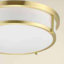 Load image into Gallery viewer, Rogue Flush Mount Ceiling Light in Detail.