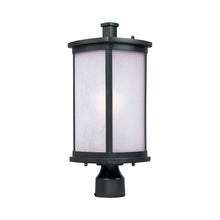 Load image into Gallery viewer, Terrace Outdoor Post Light in Incandescent/Frosted Seedy/Bronze.