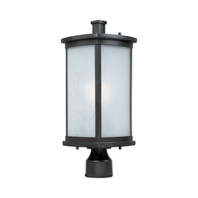 Load image into Gallery viewer, Terrace Outdoor Post Light in LED/Frosted Seedy/Bronze.