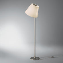 Load image into Gallery viewer, Melampo Floor Lamp in Bronze.