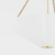 Load image into Gallery viewer, Alana Pendant Light in Detail.