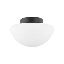 Load image into Gallery viewer, Andrea Flush Mount Ceiling Light.
