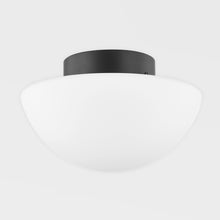 Load image into Gallery viewer, Andrea Flush Mount Ceiling Light in Detail.