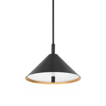 Load image into Gallery viewer, Brianna Pendant Light.