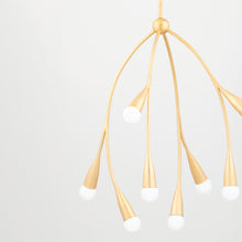 Load image into Gallery viewer, Elsa Chandelier in Detail.