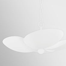 Load image into Gallery viewer, Leni Pendant Light in Detail.