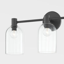 Load image into Gallery viewer, Paisley Vanity Wall Light in Detail.