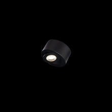 Load image into Gallery viewer, I Spy Outdoor LED Flush Mount Ceiling Light in Detail.