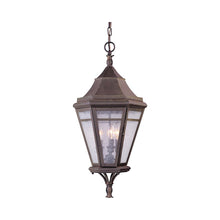 Load image into Gallery viewer, Morgan Hill Pendant Light.