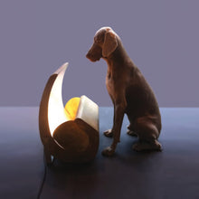 Load image into Gallery viewer, Escargot Floor Lamp in living room.