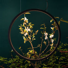 Load image into Gallery viewer, O Outdoor LED Suspension Light Outside Area.