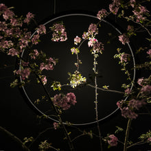 Load image into Gallery viewer, O Outdoor LED Suspension Light Outside Area.