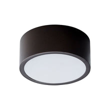 Load image into Gallery viewer, Peepers LED Flush Mount Ceiling Light in Oiled Bronze (Small).