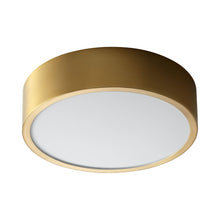 Load image into Gallery viewer, Peepers LED Flush Mount Ceiling Light in Aged Brass (Large).