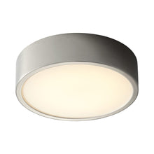 Load image into Gallery viewer, Peepers LED Flush Mount Ceiling Light in Detail.