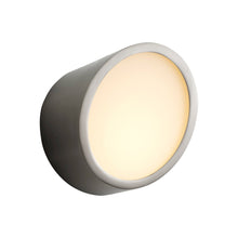 Load image into Gallery viewer, Zeepers LED Ceiling / Wall Light in Detail.