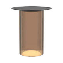 Load image into Gallery viewer, Carousel LED Floor Lamp in Bronze/Black.