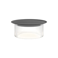 Load image into Gallery viewer, Carousel LED Table Lamp in Clear/Black (Small/12-Inch).