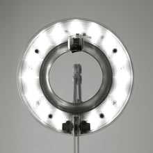 Load image into Gallery viewer, Link LED Floor Lamp in Detail.
