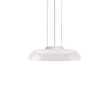 Load image into Gallery viewer, Totem LED Pendant Light (D).