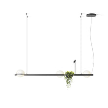 Load image into Gallery viewer, Palma 3736 LED Pendant Light.