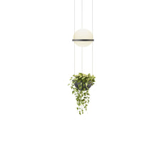 Load image into Gallery viewer, Palma Planter LED Pendant Light in Detail.