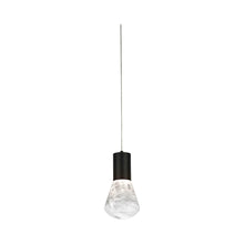 Load image into Gallery viewer, Plum LED Pendant Light in Black.
