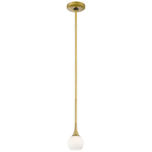 Load image into Gallery viewer, Pontil Mini Pendant Light in Honey Gold.