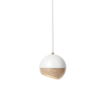 Load image into Gallery viewer, Ray Pendant Light