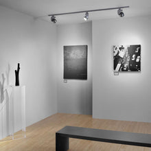 Load image into Gallery viewer, Reflex Pro Line Voltage LED Track Head in living room.