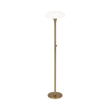 Load image into Gallery viewer, Ovo Floor Lamp in Aged Brass.