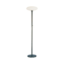 Load image into Gallery viewer, Ovo Floor Lamp in Deep Patina Bronze.