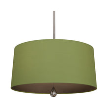 Load image into Gallery viewer, Williamsburg Custis Pendant Light in Polished Nickel/Parrot Green/Revolutionary Storm Lining.