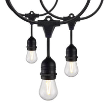Load image into Gallery viewer, Indoor/Outdoor String Lights in Black (LED/1W/24-feet/10-Unit).