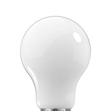Load image into Gallery viewer, Medium Base A Type LED Bulb in Detail.