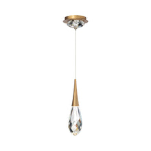 Load image into Gallery viewer, Hibiscus LED Mini Pendant Light in Aged Brass.