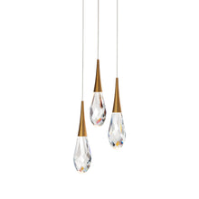 Load image into Gallery viewer, Hibiscus LED Multi Light Pendant Light in Aged Brass (3-Light).