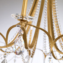 Load image into Gallery viewer, Vesca Chandelier in Detail.
