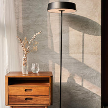 Load image into Gallery viewer, China LED Floor Lamp in Detail.