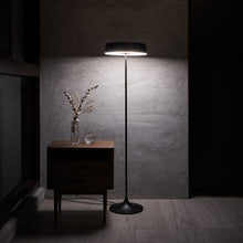 Load image into Gallery viewer, China LED Floor Lamp in living room.