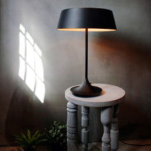 Load image into Gallery viewer, China Table Lamp in Detail.