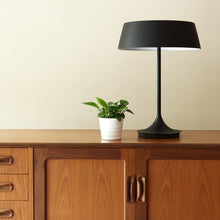 Load image into Gallery viewer, China Table Lamp in Detail.